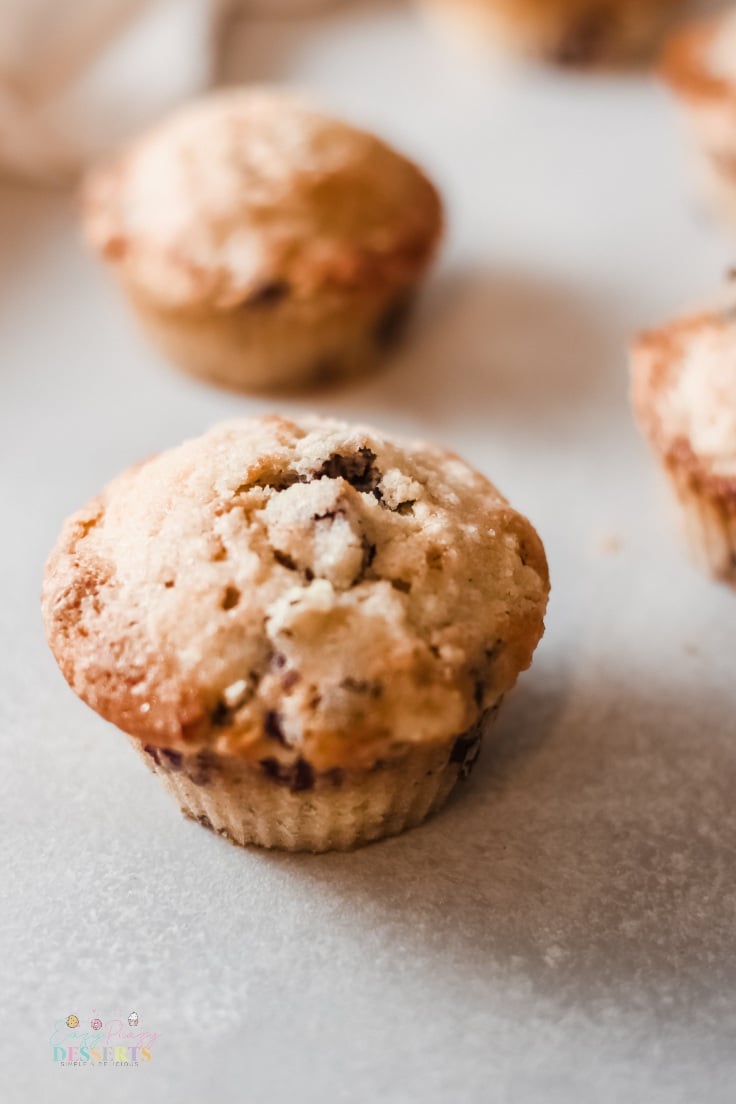 Best blueberry streusel muffins