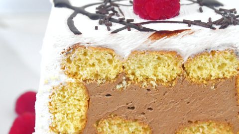 No Bake Pumpkin Mousse Cake with White Chocolate Recipe - Food Fanatic