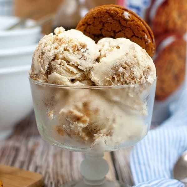 Yum Oatmeal Cream Pie Ice Cream - Eazy Peazy Desserts